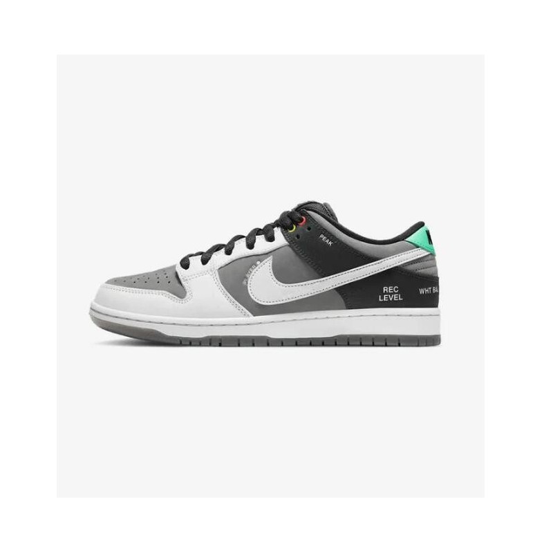 SB DUNK LOW VX1000 CAMCORDER