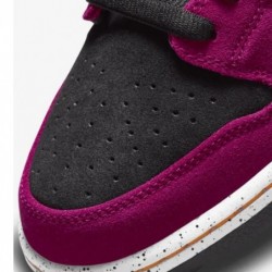 SB DUNK LOW PRO ACG TERRA RED PLUM